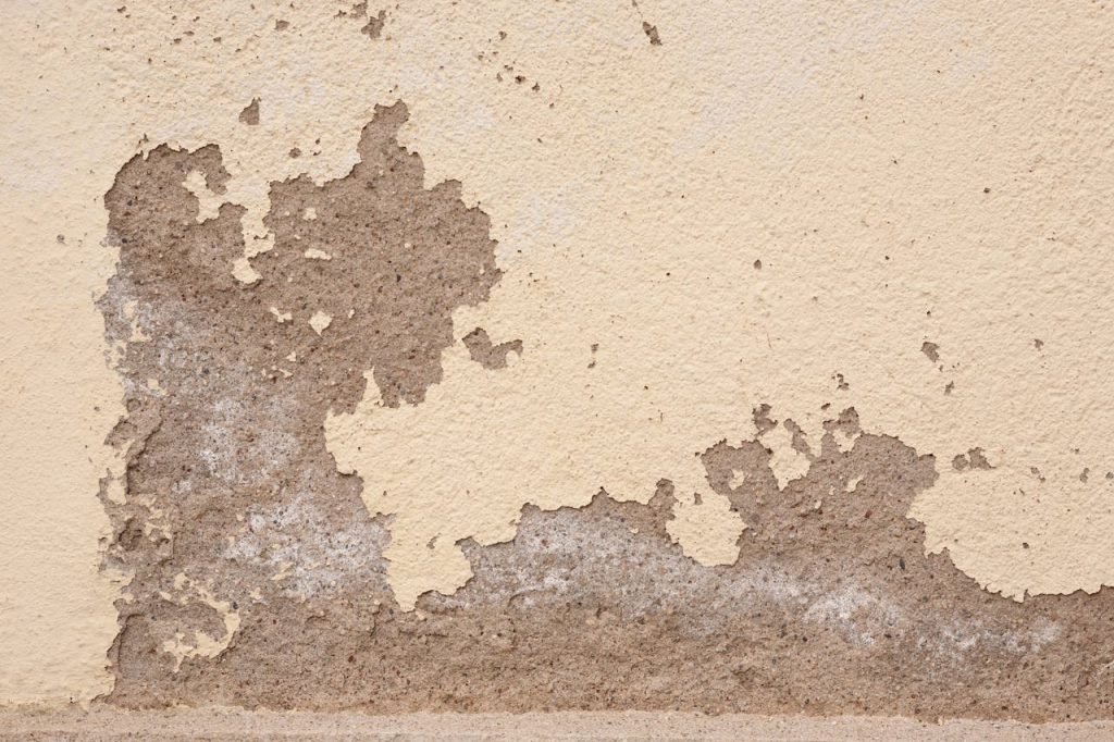 photograph-of-a-rough-surface-12326420 Old wall with cracked plaster showing rough textures, ideal for backgrounds.